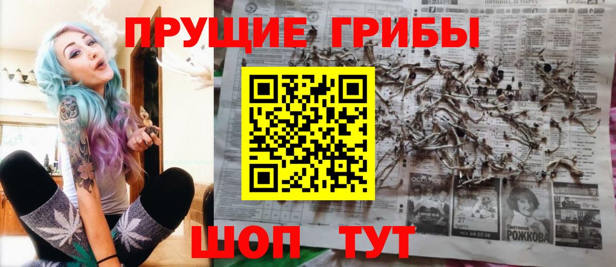 Галлюциногенные грибы Cubensis Дивногорск