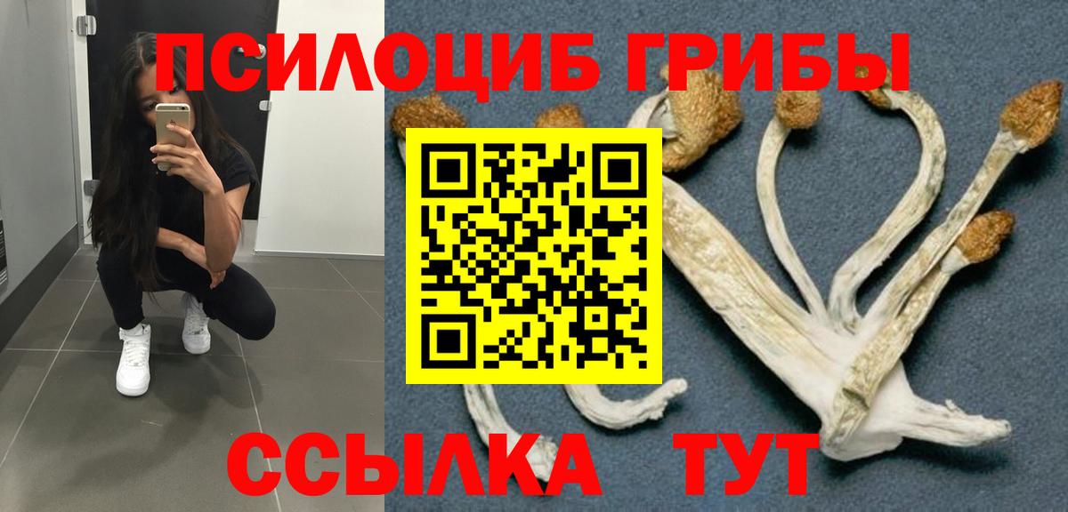 Галлюциногенные грибы Psilocybe  Вход с VPN  где найти   Дивногорск 